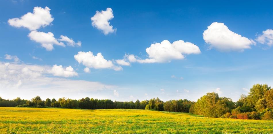 Atrapar el CO2 en la atmósfera, unas tecnologías en pleno desarrollo Atrapar el CO2 en la atmósfera, unas tecnologías en pleno desarrollo