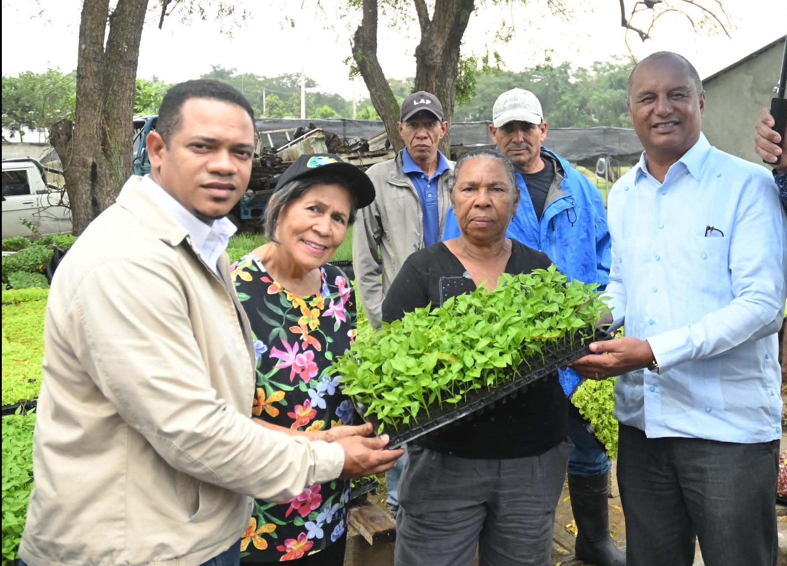 Distribuyen más de 300 mil plantas hortalizas a productores Nordeste