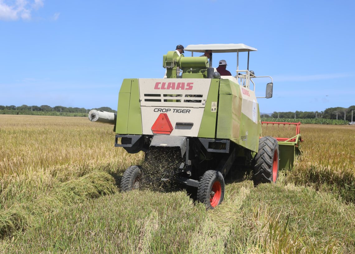 Gobierno inaugura Estación Experimental Arrocera en Proyecto La Cruz de Manzanillo Gobierno inaugura Estación Experimental Arrocera en Proyecto La Cruz de Manzanillo