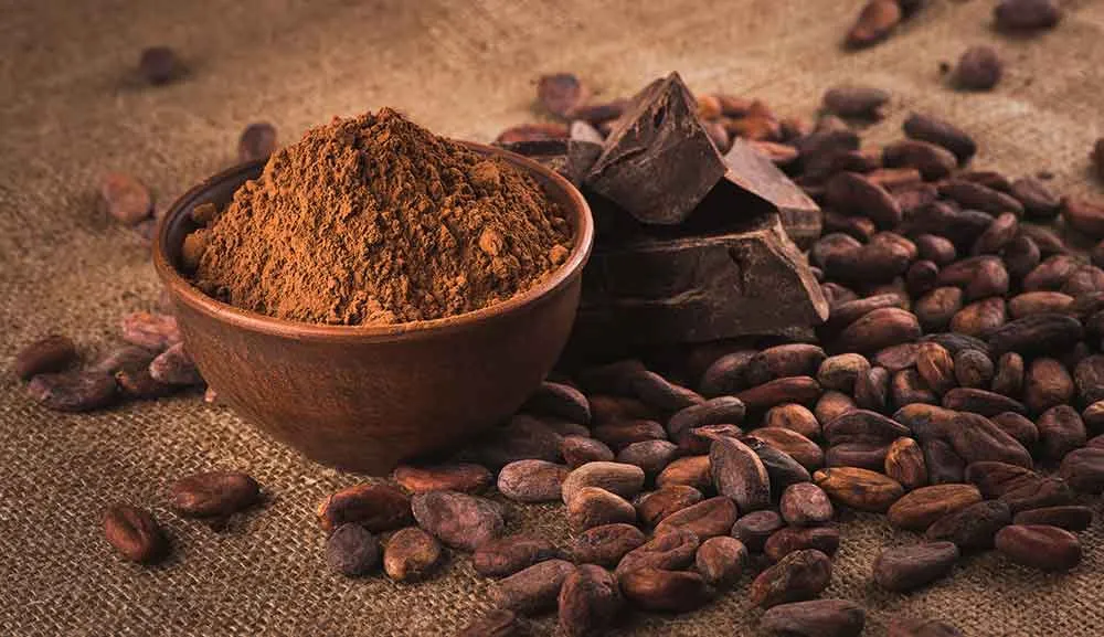 El 87.7% de negocios de cacao, chocolate y confitería en RD son mipymes El 87.7% de negocios de cacao, chocolate y confitería en RD son mipymes