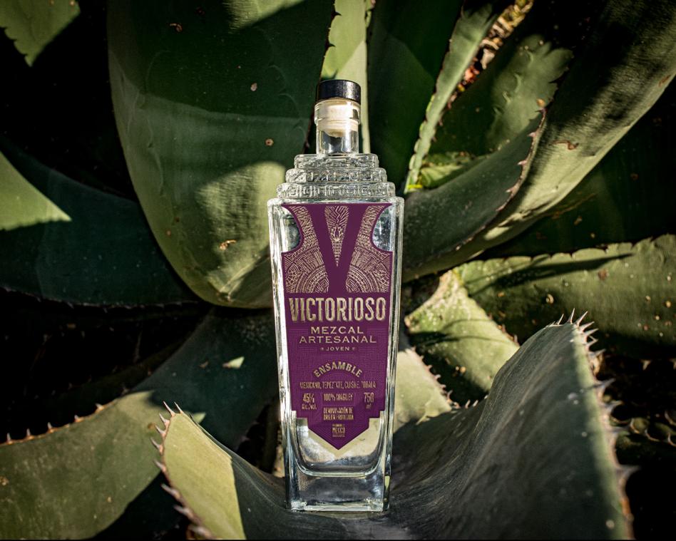 Mezcal Victorioso: De Oaxaca a la conquista del mercado dominicano