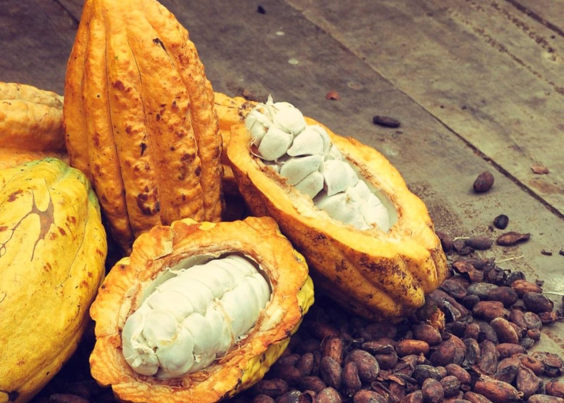 Industria del cacao, chocolate y confitería movilizó RD$10,842 millones en 2023