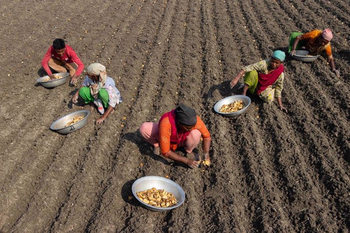 FAO: Las mujeres y los pobres en el campo son los más afectados por el cambio climático FAO: Las mujeres y los pobres en el campo son los más afectados por el cambio climático