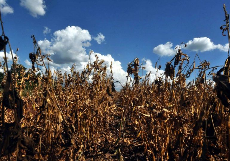 América Latina puede “hacer más” contra la crisis climática, afirman la OCDE y el BID América Latina puede “hacer más” contra la crisis climática, afirman la OCDE y el BID