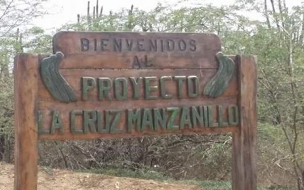 Proyecto Cruz de Manzanillo «gigante que agoniza»