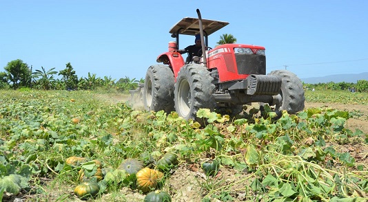 Gobierno asegura RD goza de excelente campo productivo Gobierno asegura RD goza de excelente campo productivo
