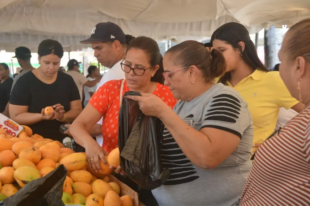 Mango banilejo, producto que dinamiza la economía de Baní