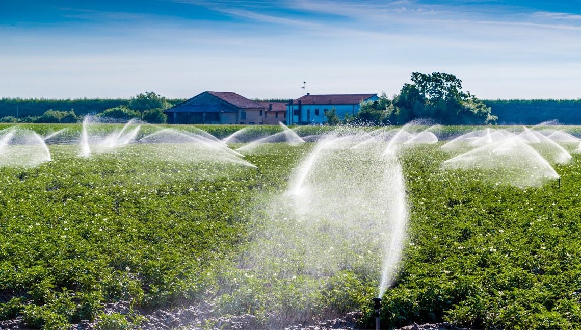Gobierno aboga por tarifas diferenciadas para eficiencia hídrica en la agricultura Gobierno aboga por tarifas diferenciadas para eficiencia hídrica en la agricultura