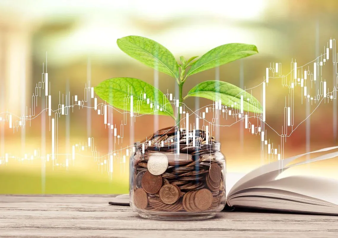 Brasil anuncia la segunda emisión de bonos verdes en el mercado internacional Brasil anuncia la segunda emisión de bonos verdes en el mercado internacional