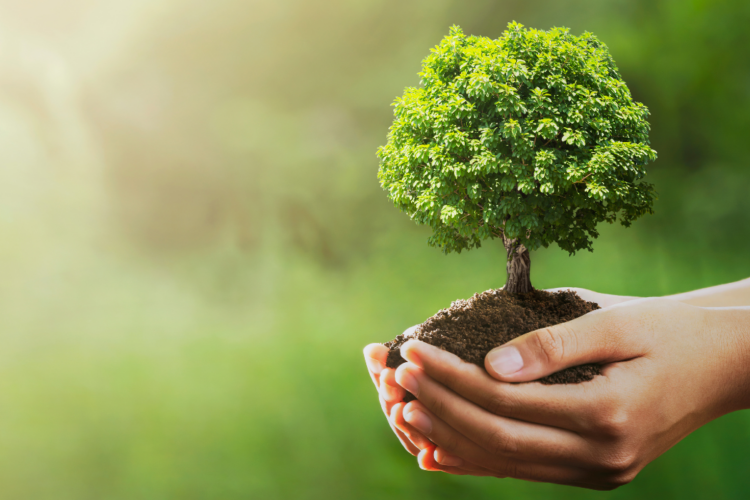 Grupo BID lanza plan para acelerar inclusión de capital natural y biodiversidad en proyectos de desarrollo