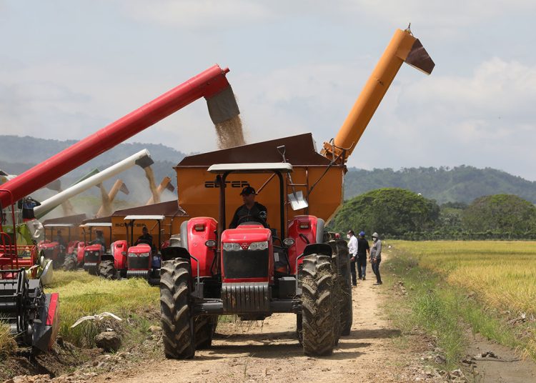 Precios de materias primas inciden en los costos del sector agropecuario Precios de materias primas inciden en los costos del sector agropecuario