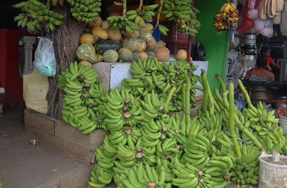 Sector agropecuario pide cautela ante la reforma fiscal