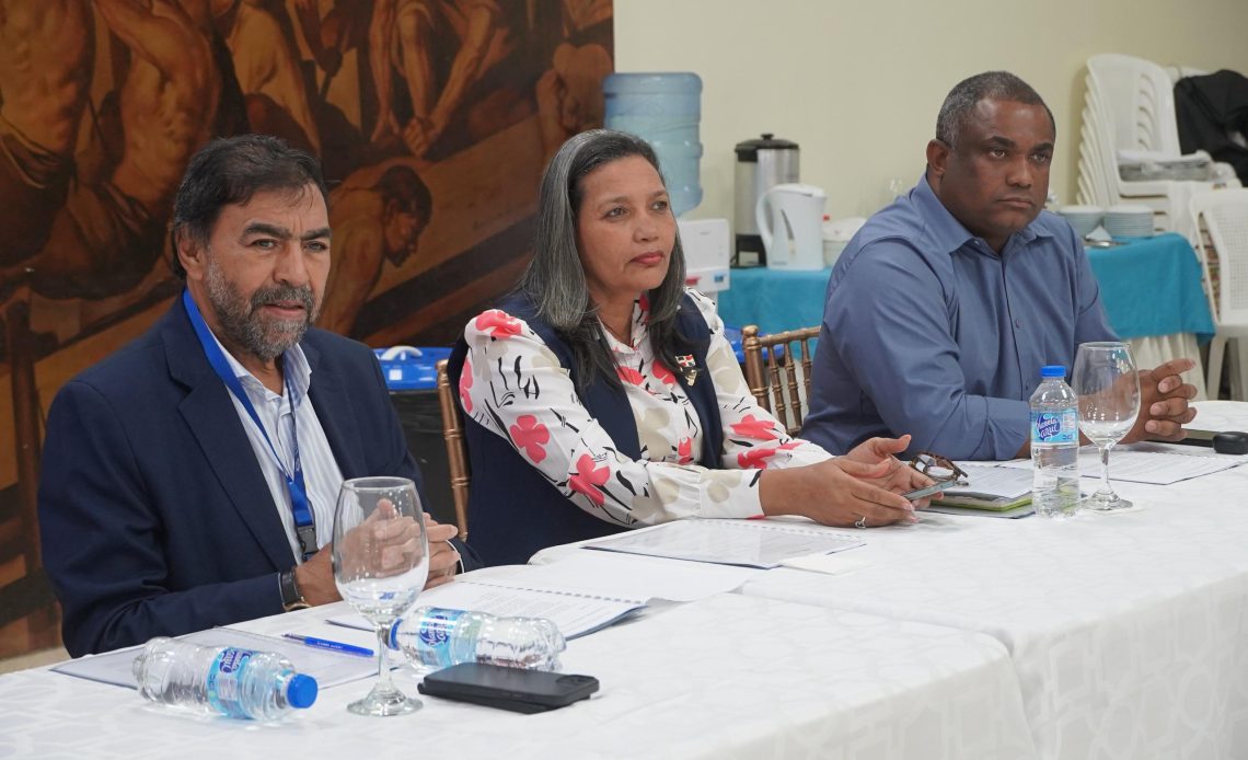 Consejo Hidroeléctrica Los Toros aprueba licitar RD$92 millones Consejo Hidroeléctrica Los Toros aprueba licitar RD$92 millones