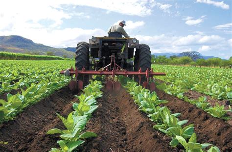 Buscan solución a problemas de agro en zona Juancho
