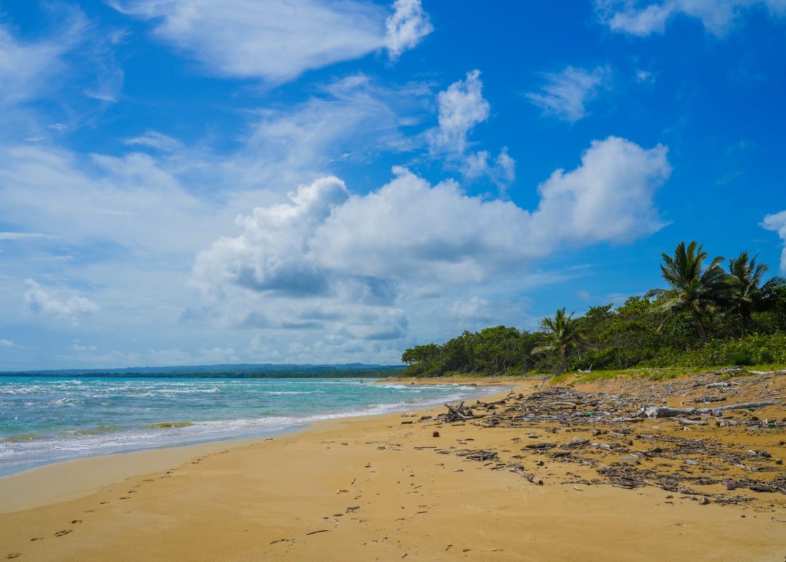 Aprueban licencia ambiental a Punta Bergantín; construcciones iniciarán en agosto 
