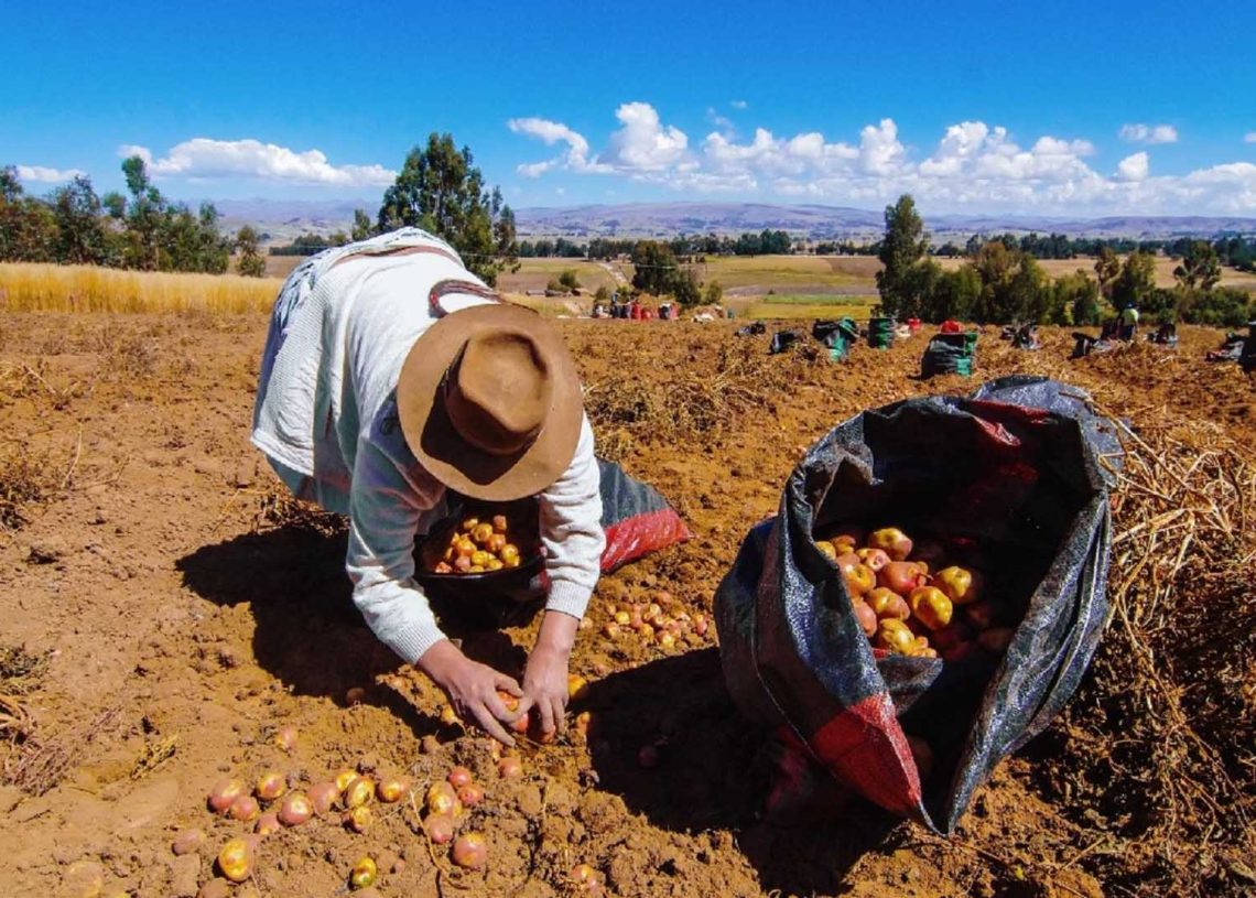 La producción de Perú crece un 5.04% en mayo por buenos resultados en manufactura y pesca La producción de Perú crece un 5.04% en mayo por buenos resultados en manufactura y pesca