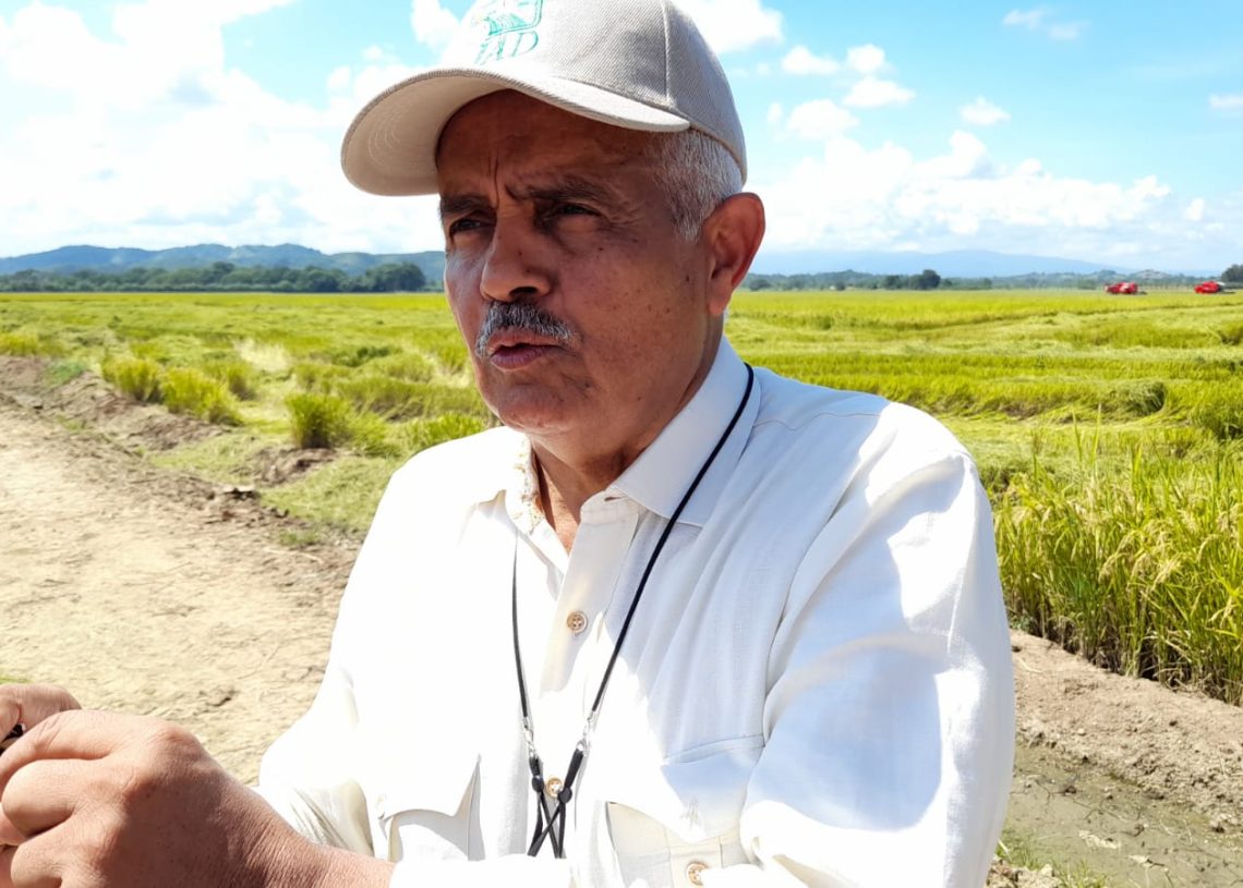 Anuncian celebración del XVI congreso latinoamericano de apicultura en RD
