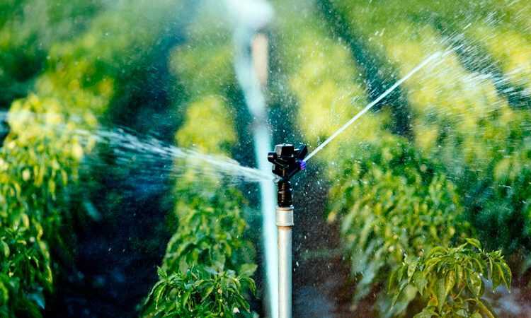 JAD aboga por créditos accesibles para tecnificación del riego en RD