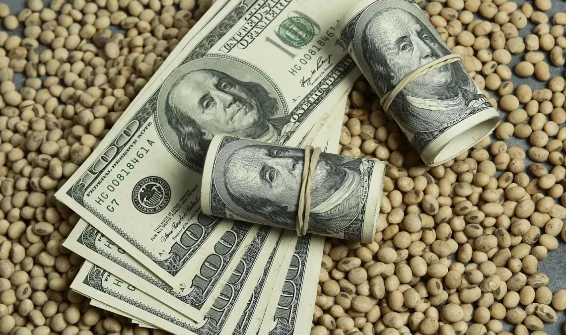 Ingresos de divisas a Argentina por exportación del agro crecen 35.8% interanual en julio