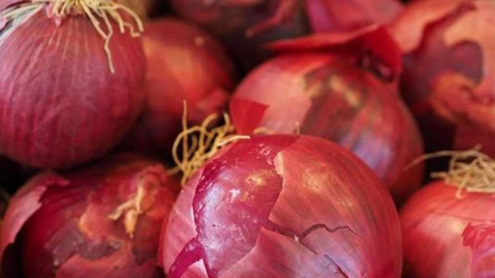 Productores de cebolla exigen al gobierno pago de producción