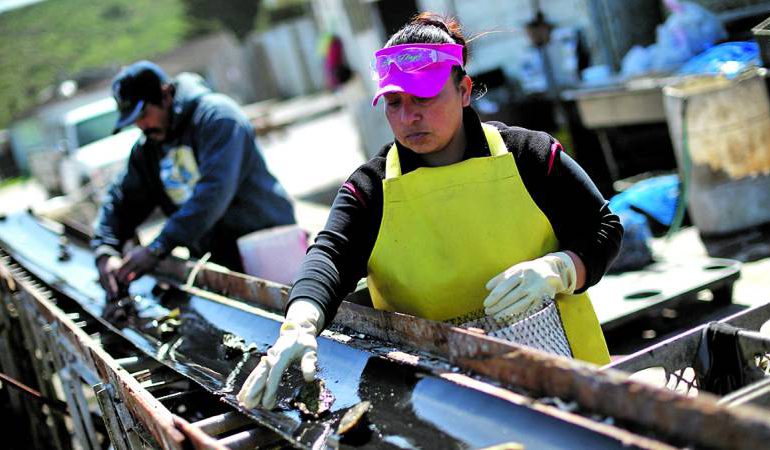 PIB de los latinos en EEUU supera al de Francia o India, según estudio PIB de los latinos en EEUU supera al de Francia o India, según estudio