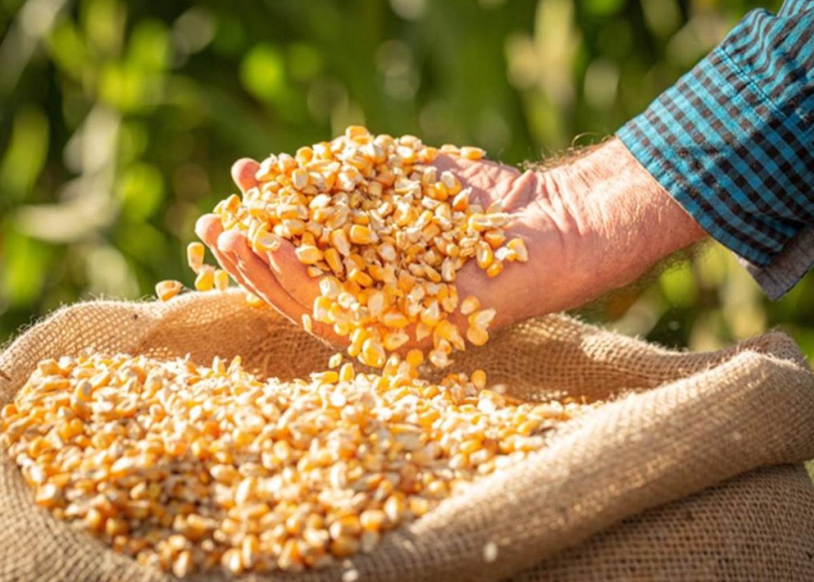 El precio de los alimentos alcanzó en octubre su nivel más alto en año y medio, según FAO