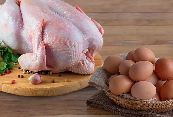 Avicultores garantizan abundancia de pollos y huevos para diciembre