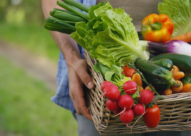 República Dominicana, interesada en exportar fruta, ron o puros a través de puerto español República Dominicana, interesada en exportar fruta, ron o puros a través de puerto español