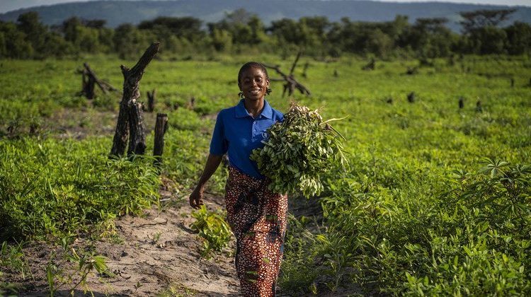 FAO pide al G20 impulsar sistemas agroalimentarios viables ante crisis climática y hambre FAO pide al G20 impulsar sistemas agroalimentarios viables ante crisis climática y hambre