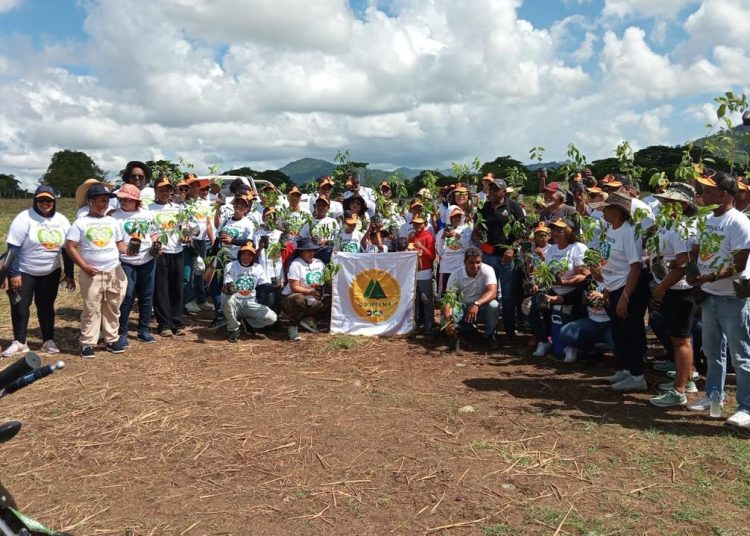 Coopsema realiza jornada de reforestación en La Cuchilla, El Seibo