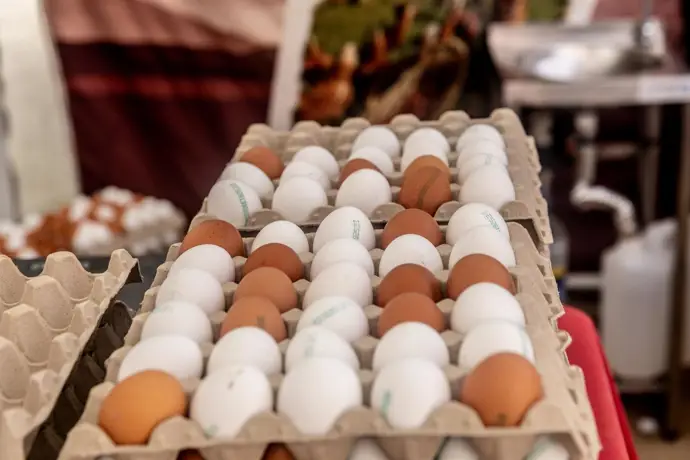 Hong Kong suspende las importaciones de carne y huevos procedentes de Huelva ante los casos de gripe aviar