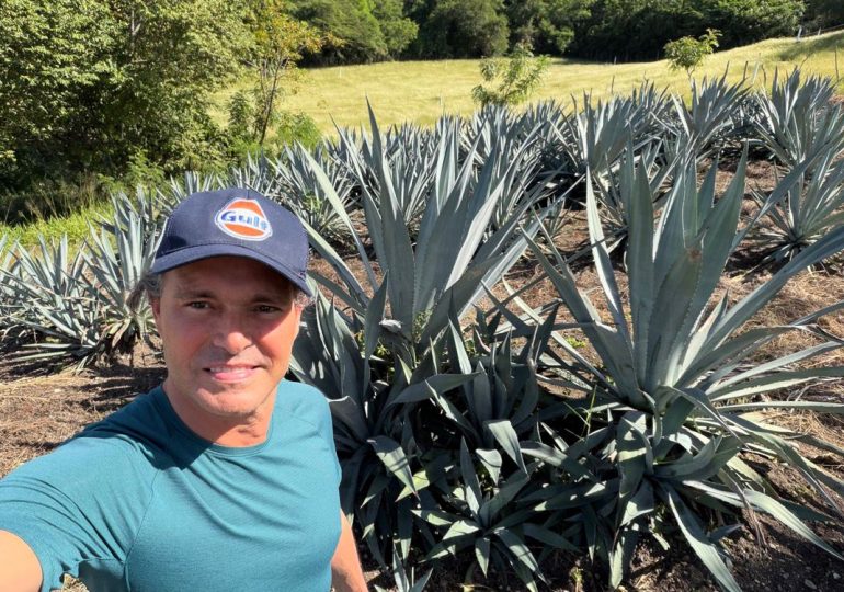 Proyecto de agave abre nueva oportunidad económica y comercial para el sur del país y la República Dominicana Proyecto de agave abre nueva oportunidad económica y comercial para el sur del país y la República Dominicana