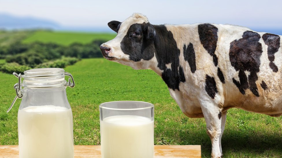 Aproleche busca producir mil millones de litros de leche este 2026