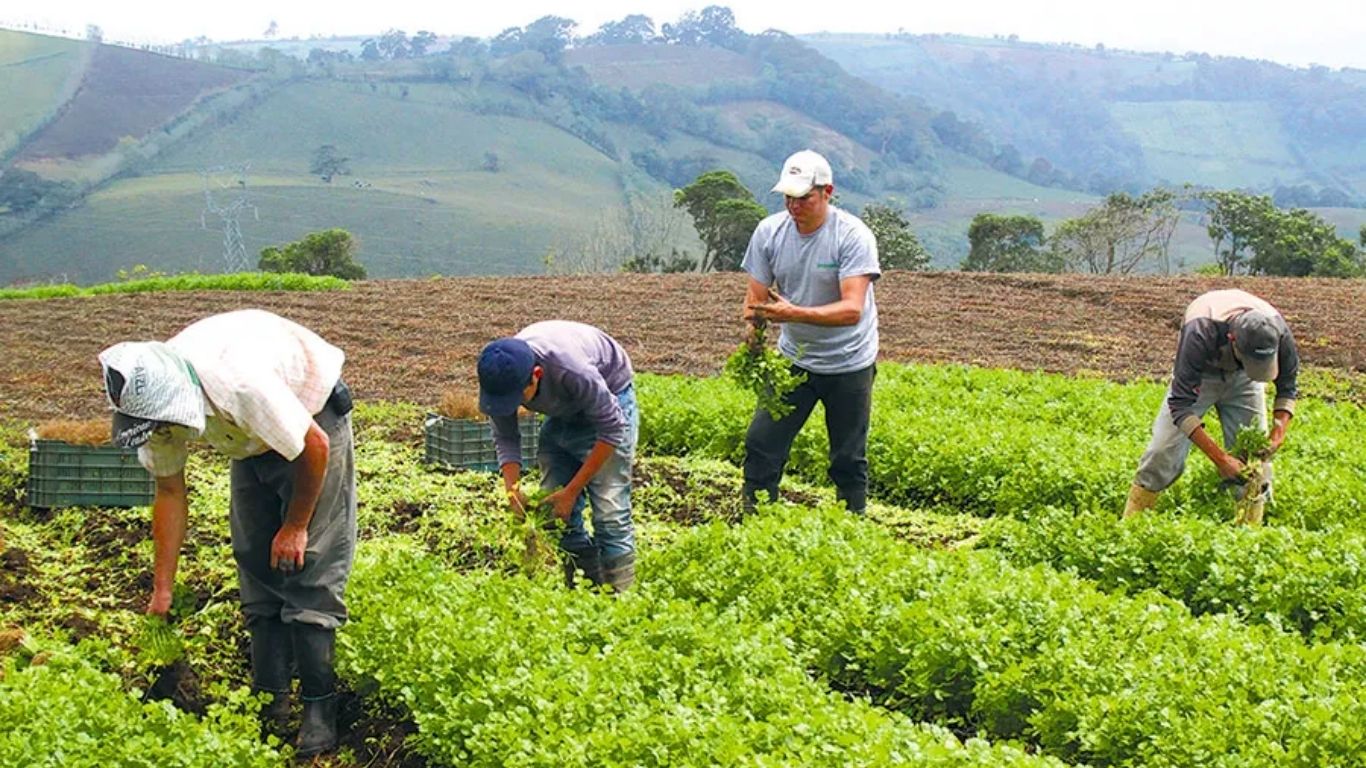 Productores agropecuarios exigen al Gobierno mayor atención y pago de deudas pendientes Productores agropecuarios exigen al Gobierno mayor atención y pago de deudas pendientes