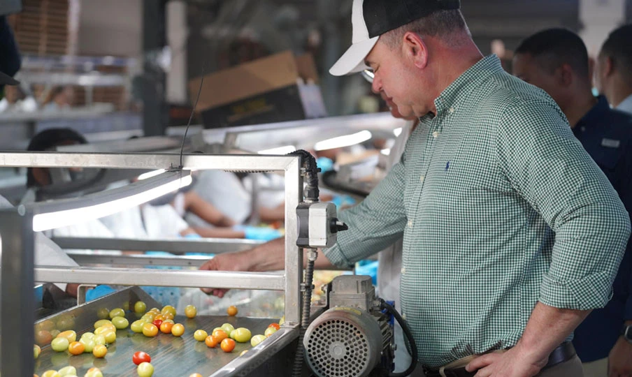 Exportaciones de tomate cherry hacia Estados Unidos consolidan crecimiento del sector