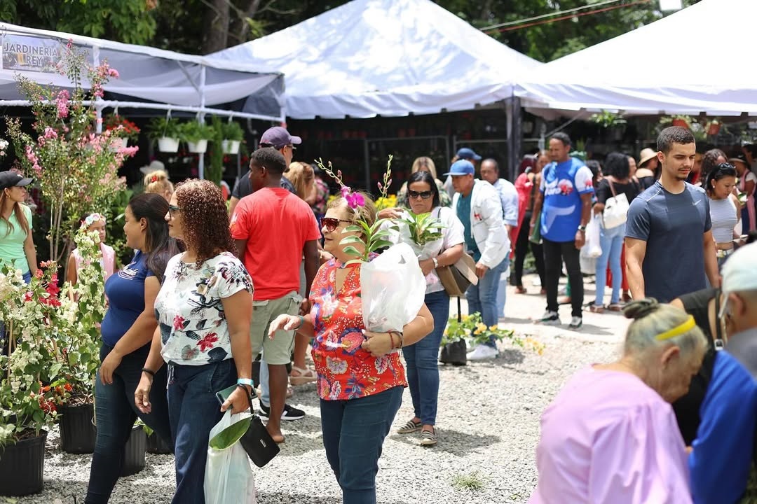 Jarabacoa celebra los 15 años del Festival de las Flores en una edición histórica Jarabacoa celebra los 15 años del Festival de las Flores en una edición histórica