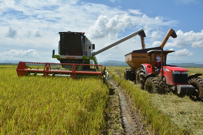 Gobierno anuncia extensión del subsidio a fertilizantes Gobierno anuncia extensión del subsidio a fertilizantes