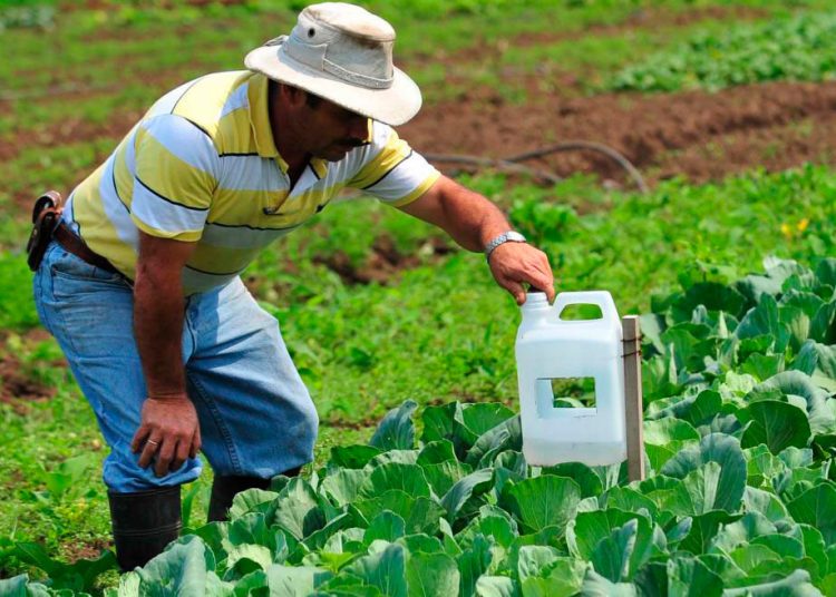 El 35% de financiamientos a la agropecuaria es por líneas de crédito